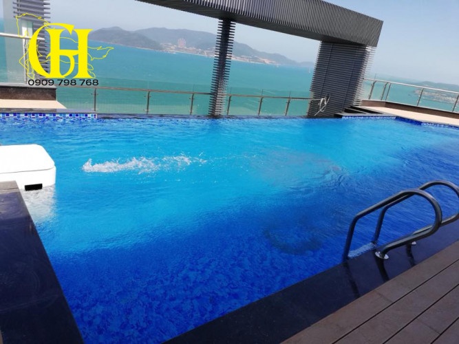 Địa chỉ thi công bể bơi chuyên nghiệp giá rẻ
