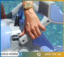ROBOT VỆ SINH HỒ BƠI DOPHIN